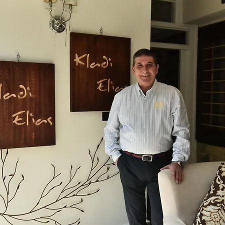 Ξενοδοχείο Culinary Boutique Kladi Elias Μεσορόπη