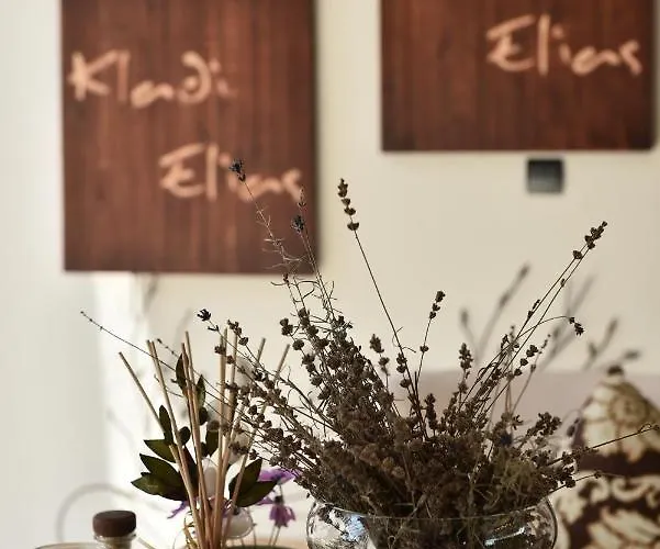 Culinary Boutique Kladi Elias Hotel Mesorópi